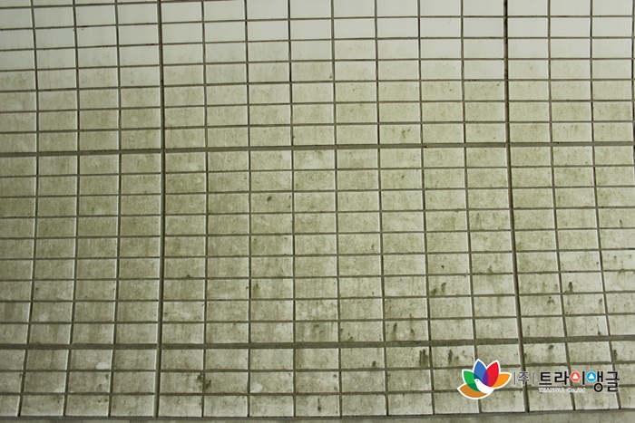 342b0215731c2280373352b9b13e5035_1591087