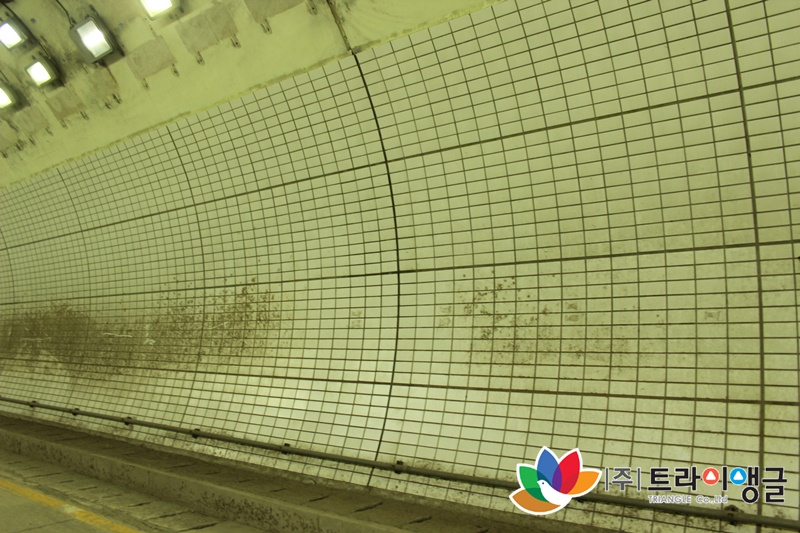 54d5c1e6770f080067a1be8c0fe4a6d1_1617336