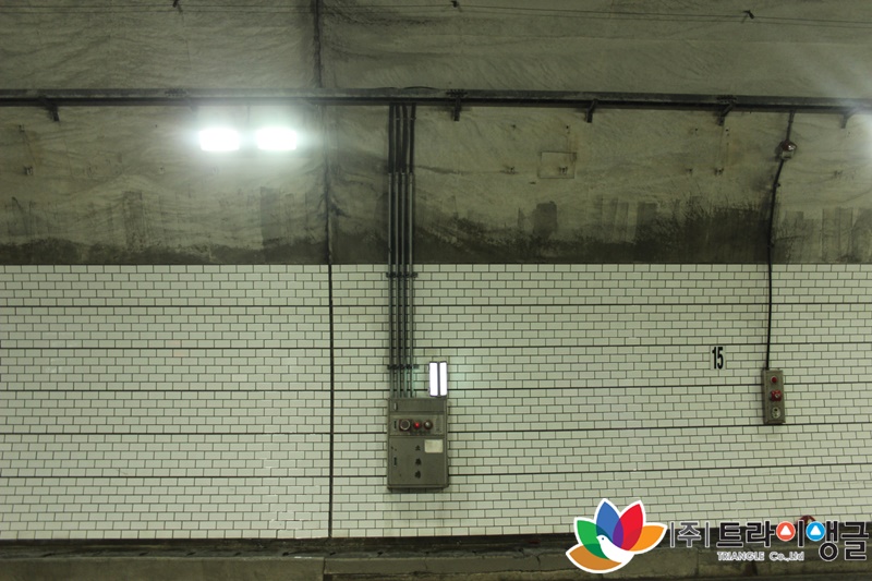 756e96e5e489392a97a9b29241709866_1624416