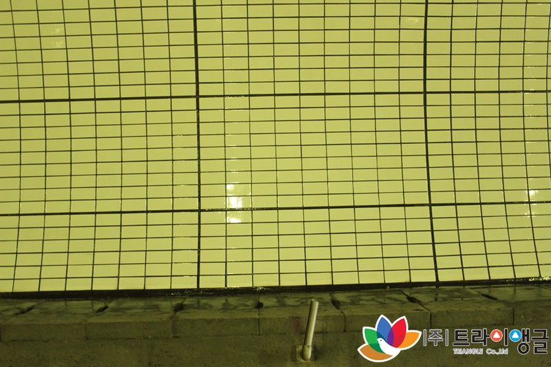 756e96e5e489392a97a9b29241709866_1624420