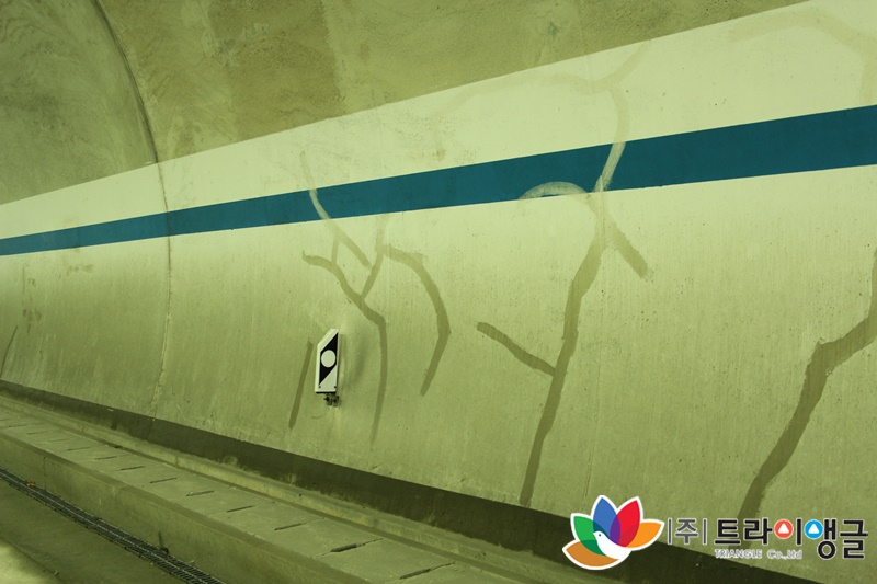 8ccacc0282041579f5a0e27a7f4f4020_1626831