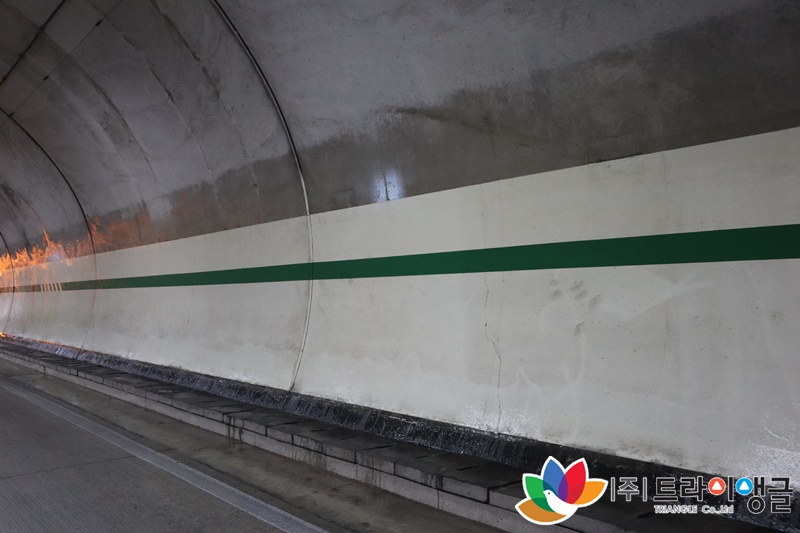 97e3c007d5a02ed766c53e697343a080_1655947