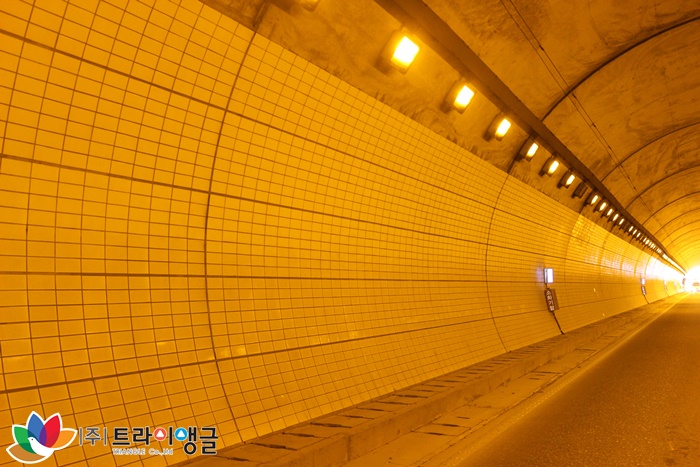 d0b0b771e6c306e10b8e72a80a346c73_1496390