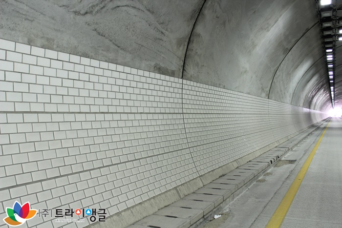 d0b0b771e6c306e10b8e72a80a346c73_1496390