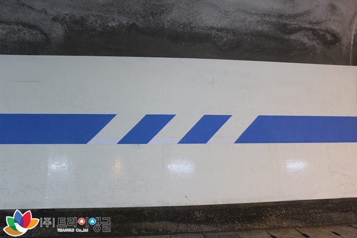 d0b0b771e6c306e10b8e72a80a346c73_1496390