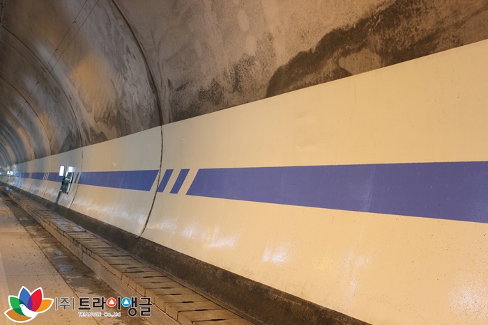 d0b0b771e6c306e10b8e72a80a346c73_1496390