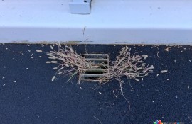 인천 송도 교량 세척작업 (배수구…