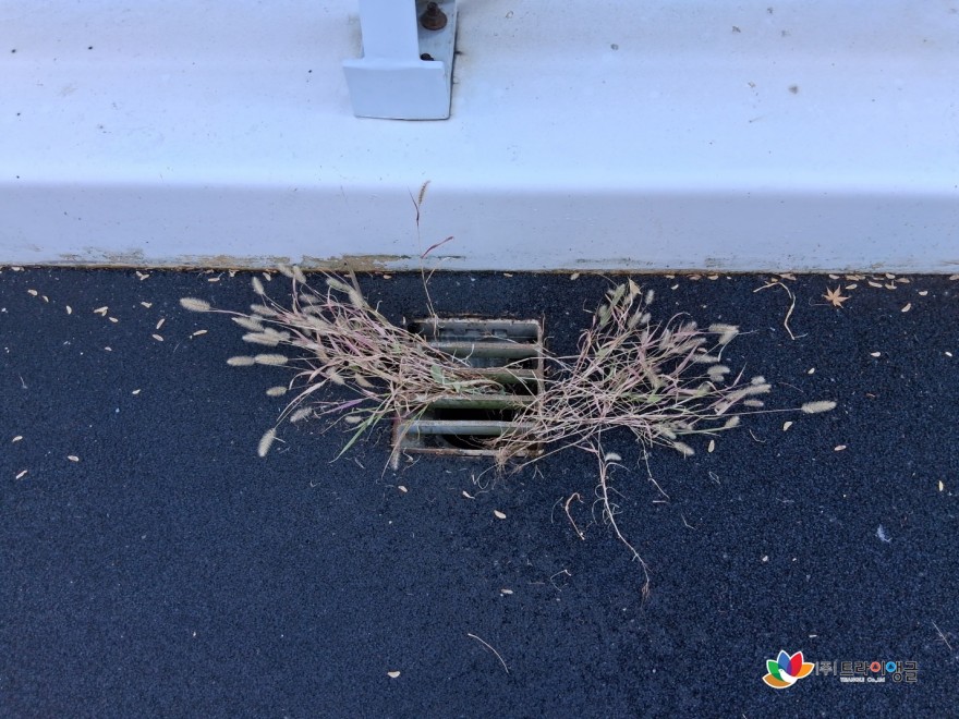 dc1e3ecf5fc423bd282eb262c69fd8c3_1764297