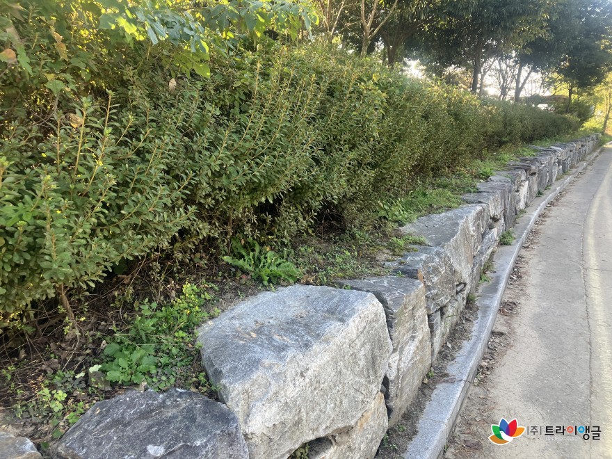 e81c2dce9683c7878446761819ef87f4_1762135