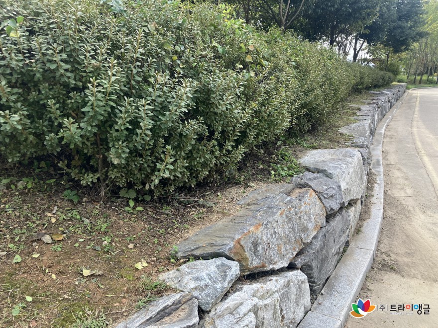 e81c2dce9683c7878446761819ef87f4_1762135