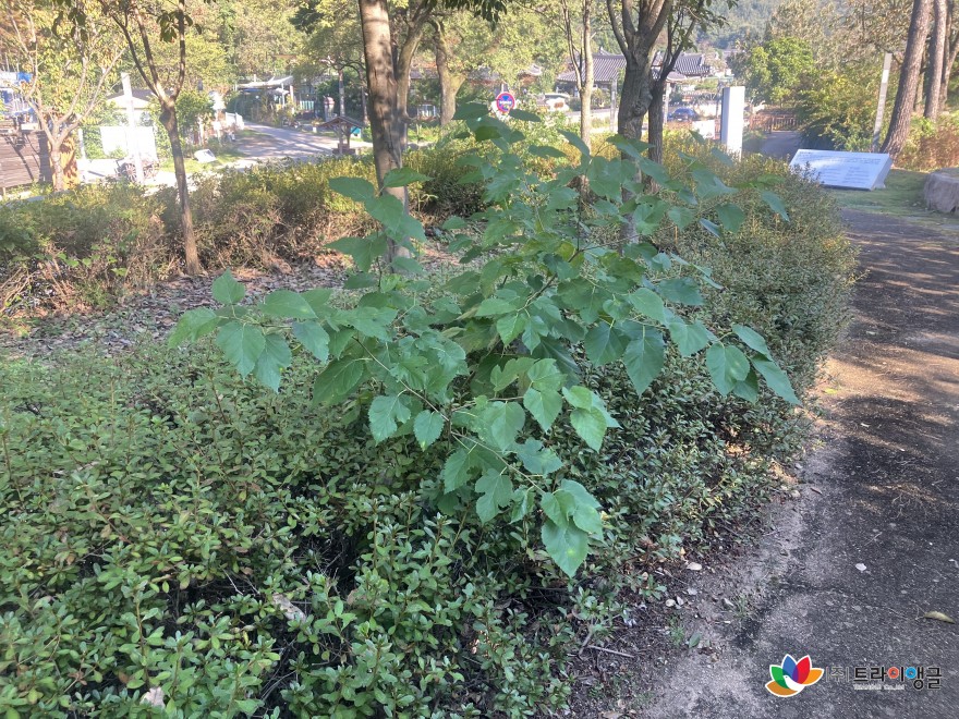 e81c2dce9683c7878446761819ef87f4_1762135