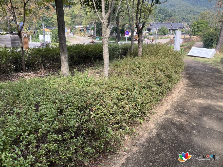 e81c2dce9683c7878446761819ef87f4_1762135