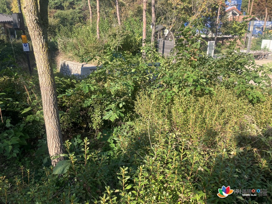 e81c2dce9683c7878446761819ef87f4_1762135