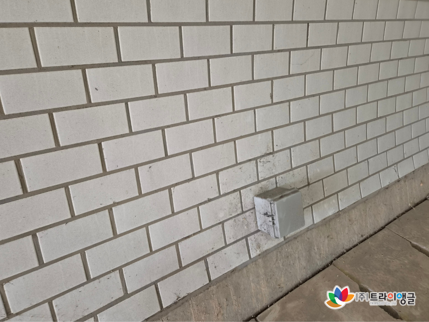 c3bcda20547223016493093a0f8a52aa_1792021